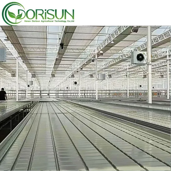 Landwirtschaftliches Gewächshaus, Metall-Saatbeet-Gewächshaustisch, rollende Banktabletts